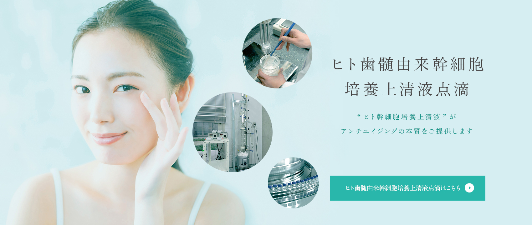 生涯健康で美しい歯でいられるように